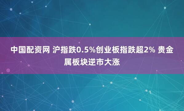 中国配资网 沪指跌0.5%创业板指跌超2% 贵金属板块逆市大涨