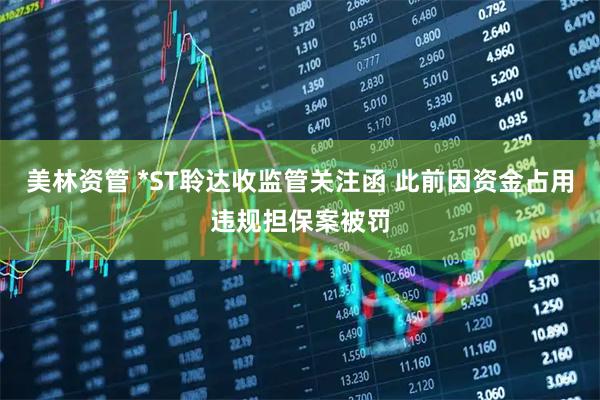 美林资管 *ST聆达收监管关注函 此前因资金占用违规担保案被罚