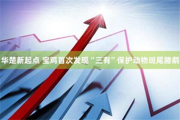 华楚新起点 宝鸡首次发现“三有”保护动物斑尾塍鹬
