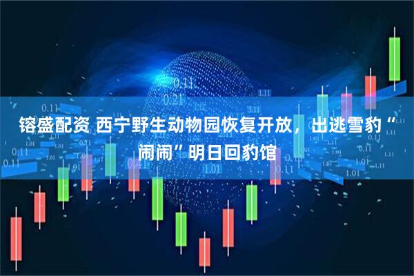 镕盛配资 西宁野生动物园恢复开放，出逃雪豹“闹闹”明日回豹馆