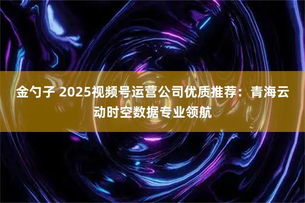 金勺子 2025视频号运营公司优质推荐：青海云动时空数据专业领航