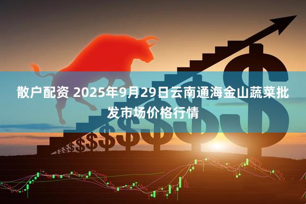 散户配资 2025年9月29日云南通海金山蔬菜批发市场价格行情