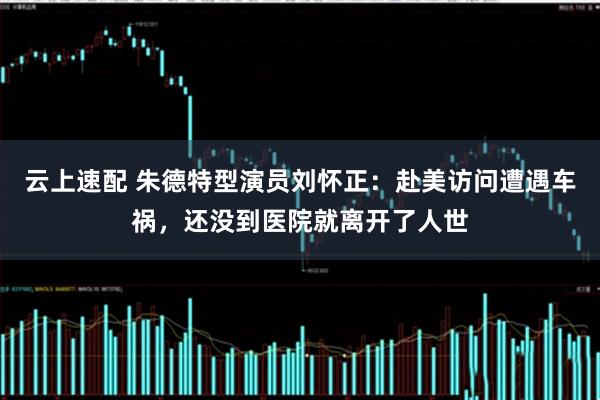 云上速配 朱德特型演员刘怀正：赴美访问遭遇车祸，还没到医院就离开了人世